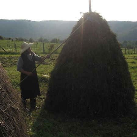 Pensiunea Irina Tilişca Esterno foto