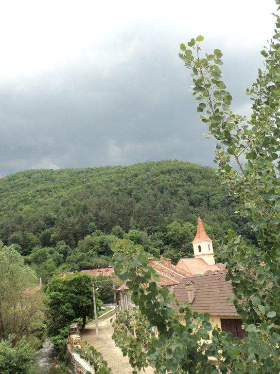 Pensiunea Irina Tilişca Esterno foto